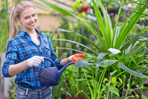 Team preparing for hedge trimming in Spitalfields, overview image