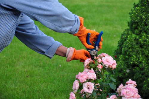 Workers assessing a hedge and surroundings before cutting