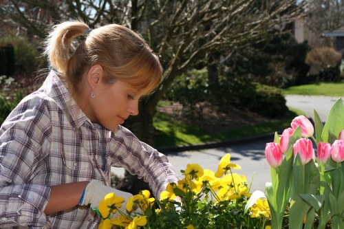 A service team member setting up a safe, accessible work area near residential hedges.